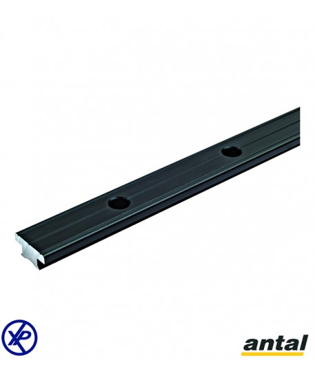 RAIL T 40x8 ALUMINIUM