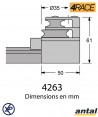 4263-embout de rail