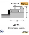 4273-embout de rail