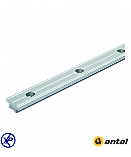 RAIL T 32x6 INOX