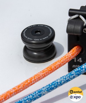 821.070-Réa plat pont Tulip