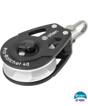 A21401-Poulie Cliquet